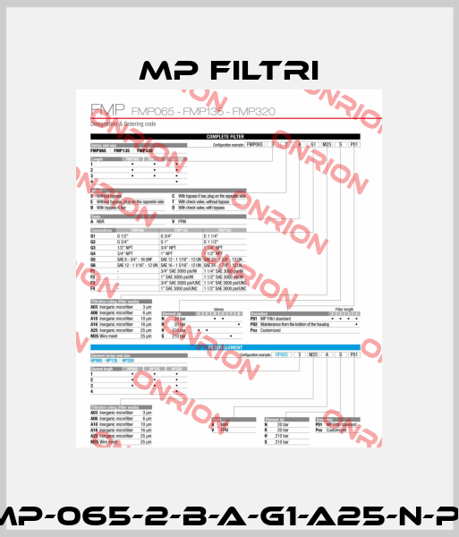 FMP-065-2-B-A-G1-A25-N-P01 MP Filtri