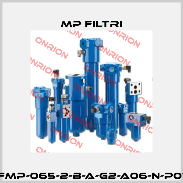 FMP-065-2-B-A-G2-A06-N-P01 MP Filtri