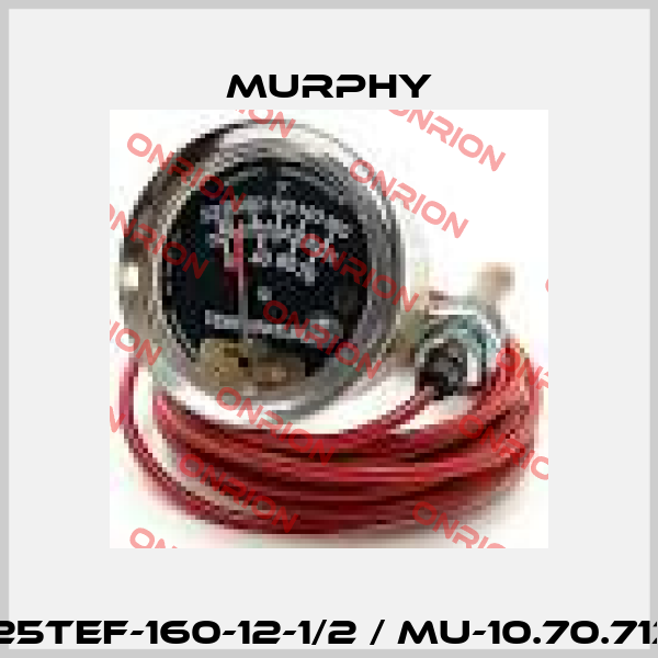 A25TEF-160-12-1/2 / MU-10.70.7135 Murphy