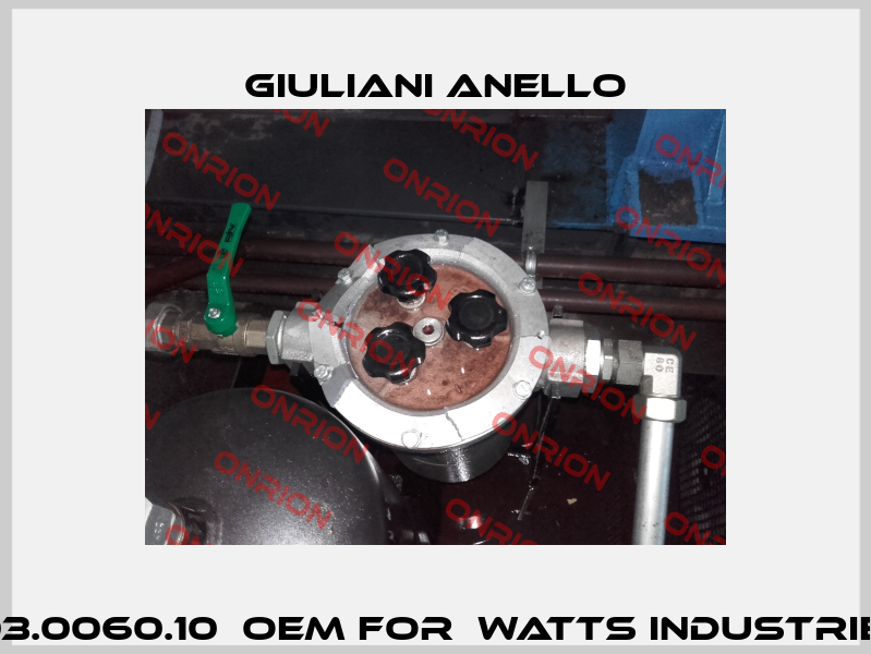 003.0060.10  OEM for  Watts Industries  Giuliani Anello