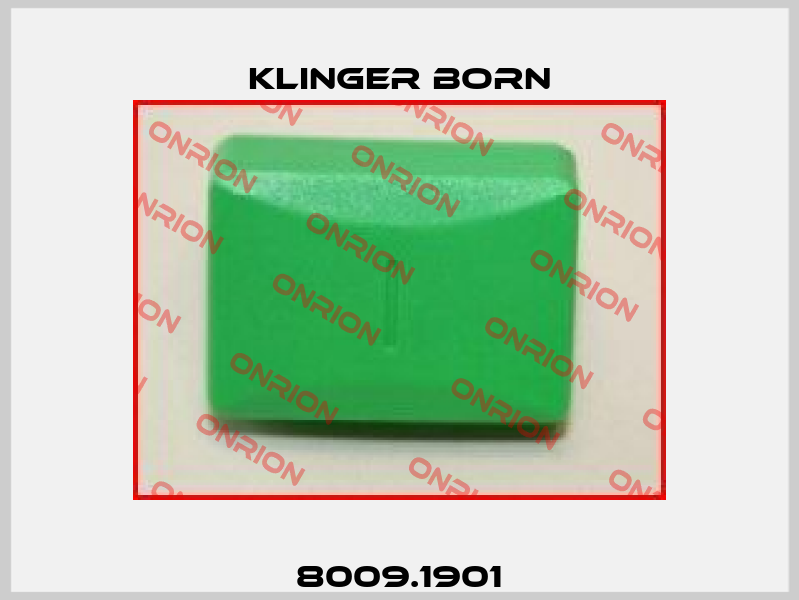 8009.1901 Klinger Born