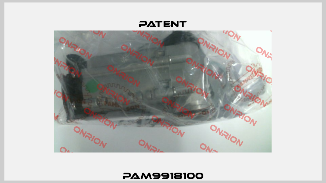 PAM9918100 Patent